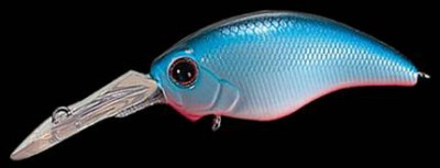 Wild Hunch color 063