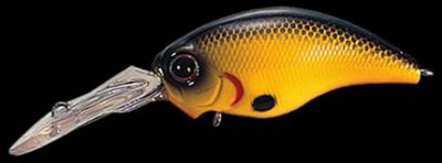 Wild Hunch color 065