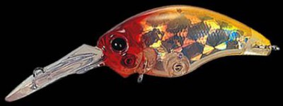 Wild Hunch color 066