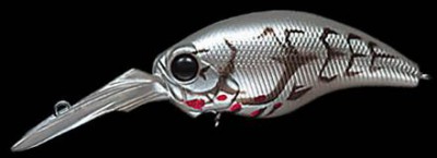 Wild Hunch color 080