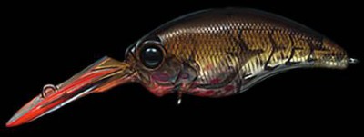 Wild Hunch color 081