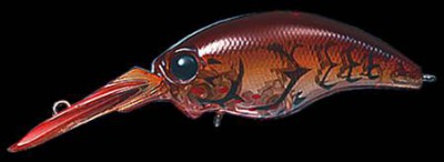 Wild Hunch color 082