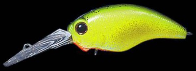 Wild Hunch color 086