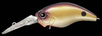 Wild Hunch color 222