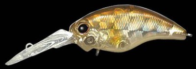 Wild Hunch color 224