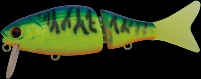 Baroque SP-0,5 color chart back tiger