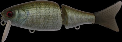 Baroque SP-0,5 color real gill