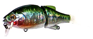 Chad Crank color bara tanago