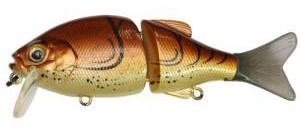 Chad Crank color craw fish