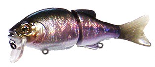 Chad Crank color gin tanago