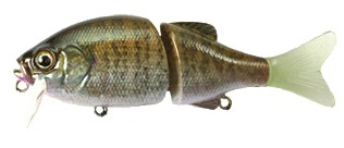 Chad Crank color live dip bronz gill