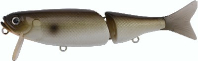 Garison color tennessee shad