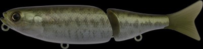 Garison Pencil color real bass