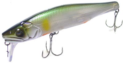 Ayuja DeadSlow color 