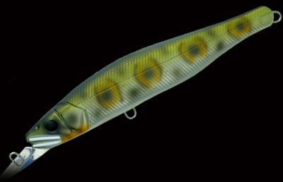 Ayuja Paradox color 16