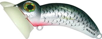 Night Walker color R25