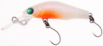 Tigris Dens Deep 37 Area color C-EGG