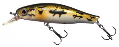 Arms Minnow color S24