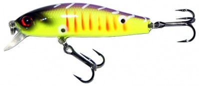 Brig minnow color CA02