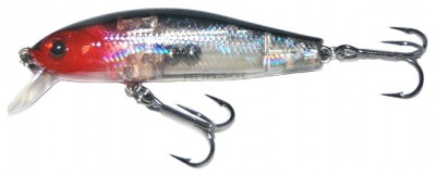 Brig minnow color SJ10