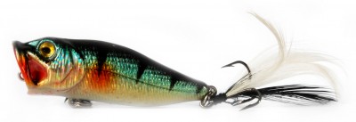 Bubble Popper color HB01