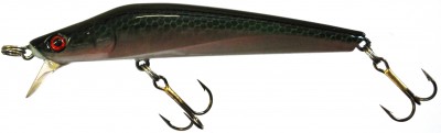 Div Minnow color M04