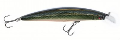 Diverse Minnow color M04