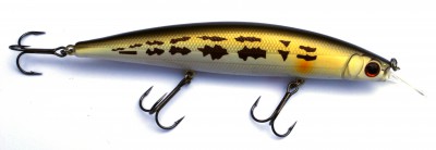 Diverse Minnow color S24