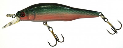 Duke Minnow color M04