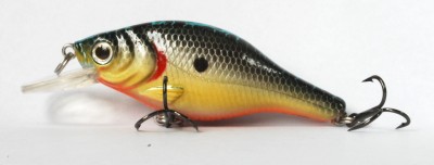 Fatti Shad color FT02