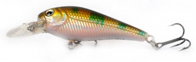 Fingerling Shad color HA07