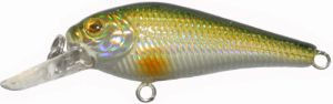 Fingerling Shad color HA08