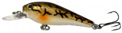 Fingerling Shad color S24