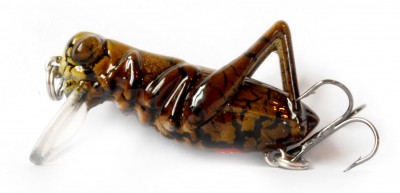 G-Hope Cranck color GC01