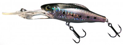 Hard Minnow color CA02