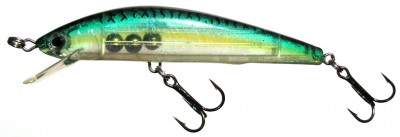 Have Magnetism Minnow color 