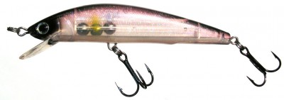 Have Magnetism Minnow color H155