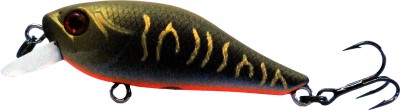 Jovial Shad color 336