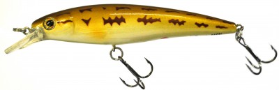 Killer Minnow color S24