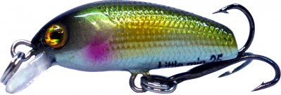 Little Minnow color 