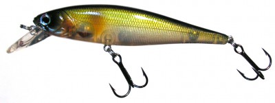 Me Minnow color G04