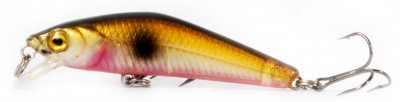 Rider Minnow color G03