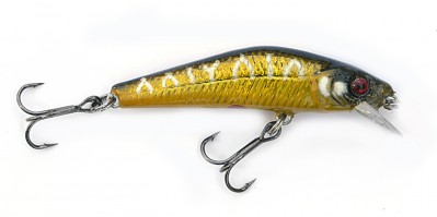 Rider Minnow color HC08