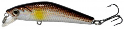 Rider Minnow color RDM08