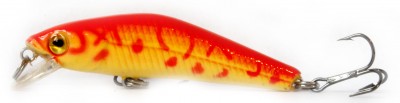 Rider Minnow color S08