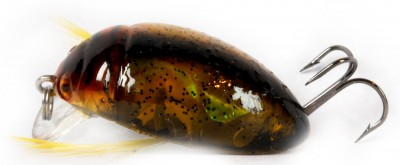 Sea Beetit Cranck color 