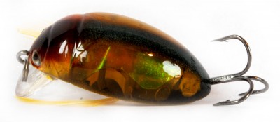 Sea Beetit Cranck color SC-01