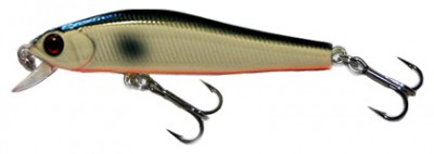 Shake minnow color 