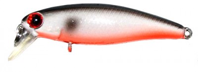 Shine minnow color G14