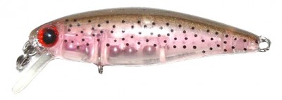 Shine minnow color G25R